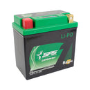 SPS SkyRich LIPO12E Lithium Ion Battery