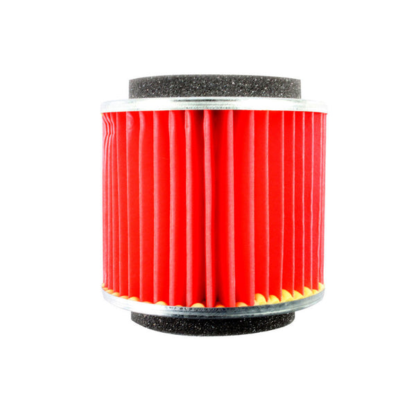 Filtrex Standard Air Filter - Yamaha 5DS-E4451-0000 [1