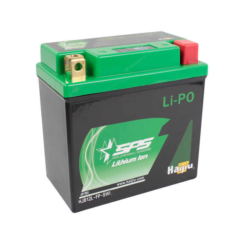 SPS SkyRich LIPO12F Lithium Ion Battery