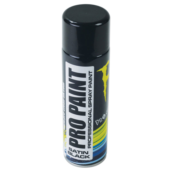Pro Paint Matt Black Professional Paint